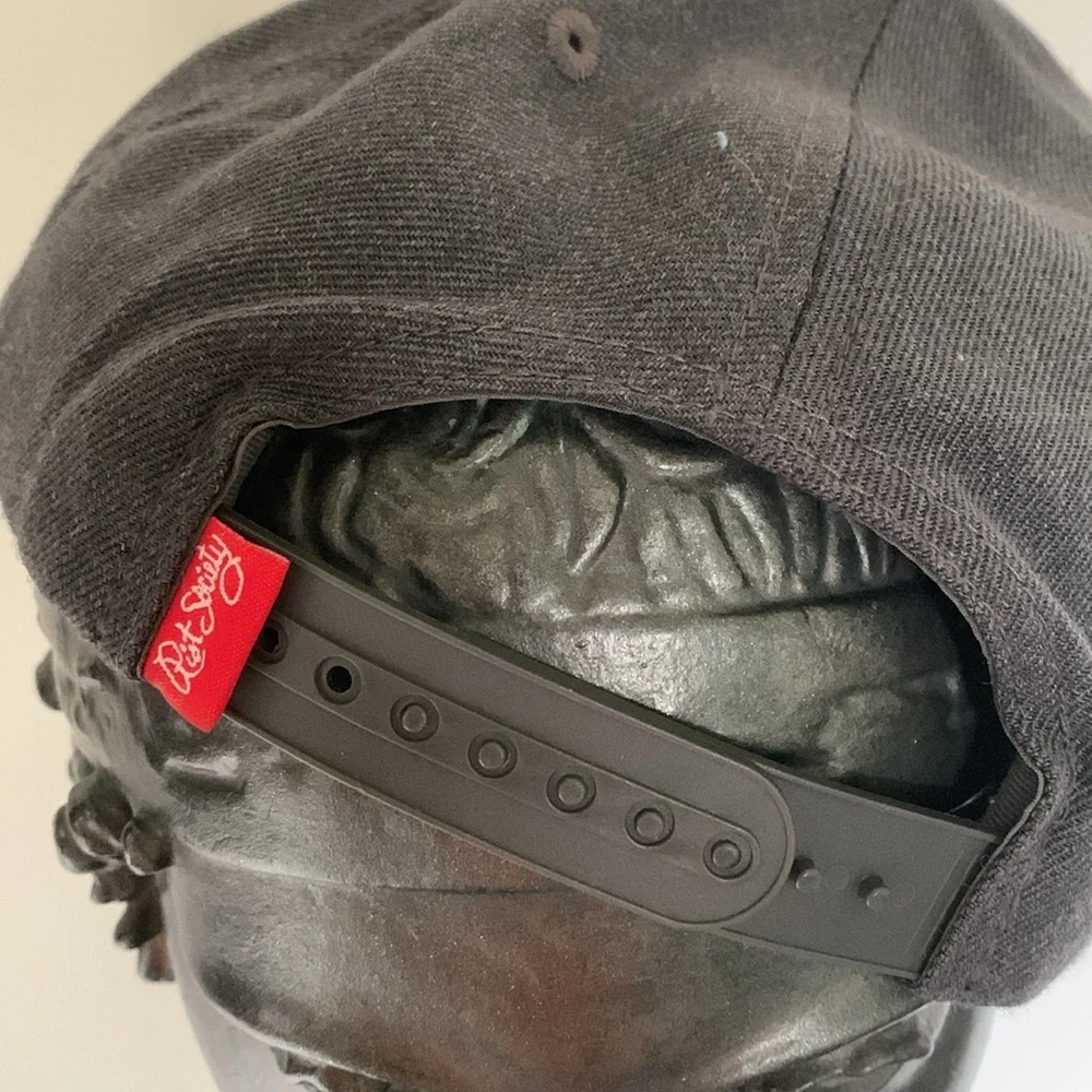 Riot Society California Republic Snapback Hat